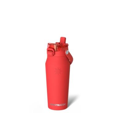 Imagem de Frost Buddy Garrafa de água isolada de 473 ml com canudo e tampa Chug | Aço inoxidável à prova de vazamento | frio 24 horas | à prova de suor, adequado para copo | Ideal para academia, viagens