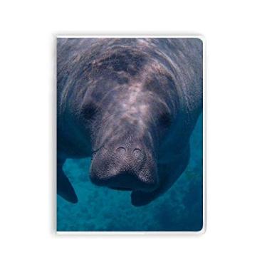 Imagem de Caderno para fotografia de organismo marinho com imagem de animal, capa de goma