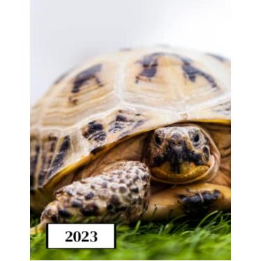 Imagem de 2023: Agenda semainier au format A4 - Année civile (Janvier à Décembre 2023) - Intervalles d'1h (7h-22h) - Contacts, jours fériés, mots de passe, ... - Une semaine sur deux pages