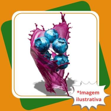 Imagem de Muda de Mirtilo Emerald Vaccinium Spp. - Gardencitrus