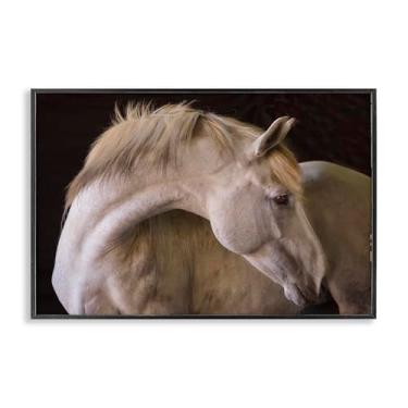 Imagem de Stupell Industries Retrato de cavalo de beleza branco emoldurado preto design de arte giclée por Jadei Graphics, 18 x 12