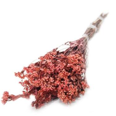 Imagem de Chuvisco Flor Desidratada Buque Flores Secas - Pense Flores, Pink