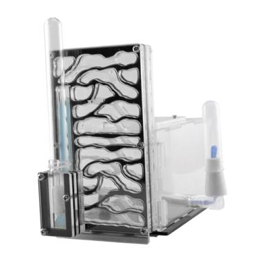 Imagem de Ｂｅｓｇａ de formigas com cesto de ração, caixa de criação de formigas para o dia crianças, amantes de casa, quarto, Preto