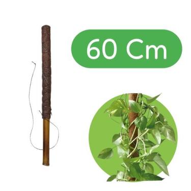 Imagem de Tutor Para Planta Trepadeira Fibra De Coco Bambu 60 Cm - Plantar e Dec