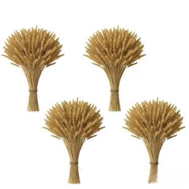 Imagem de Enfeites Para Festa Junina - 400 Hastes De Trigo Seco Natural Para DecoraçãO De Mesa, Arranjo RúStico Elegante Para Arraiá (04 Maços (160 Hastes))
