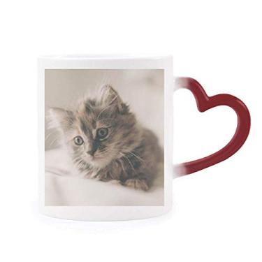 Imagem de Caneca com foto de gato cinza animal gatinho sensível ao calor Caneca de grés que muda de cor vermelha