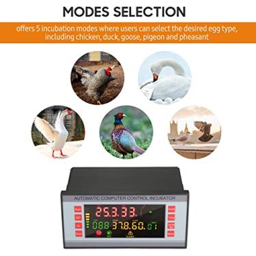 Imagem de Snsowed LED Color Screen Controlador automático de incubadora de ovos Máquina de controlador de incubadora de ovos de aves Controlador digital automático de temperatura e umidade para incubação de ovos