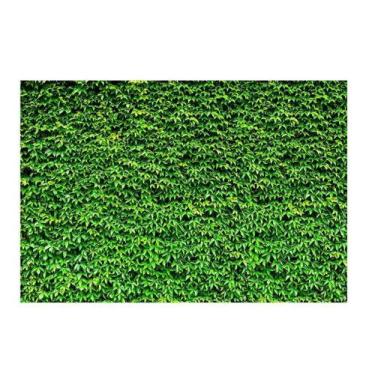 Imagem de Fundo Fotográfico Muro Inglês 2,2X1,5 Fff-504 - Felicitá