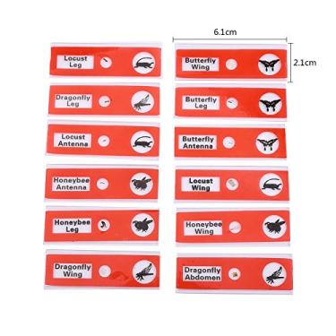Imagem de Generic Corrediças de Microscópio Em Branco, Tipo Profissional de Plástico de Corrediças de Lanterna Mágica Etiquetas Coloridas para a Escola para Aprender (Vermelho)