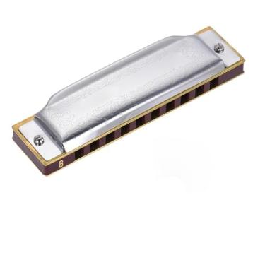 Imagem de Gaita diatônica padrão profissional com 10 furos chave de A B C E F 20 tons para estudantes iniciantes (B)