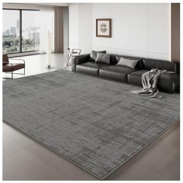 Imagem de SPXMQSS Tapete grande para sala de estar, tapete lavável resistente a manchas para quarto antiderrapante macio pilha baixa para sala de estar, quarto, sala de jantar, cinza F 240 x 360 cm