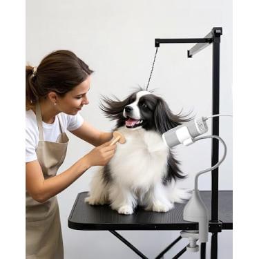 Imagem de L&W BROS. Secador de pelos para animais de estimação 2 em 1 com suporte de grampo – Secador de cuidados para cães vestível e mãos livres, soprador de baixo ruído de 950 W com 5 configurações de calor