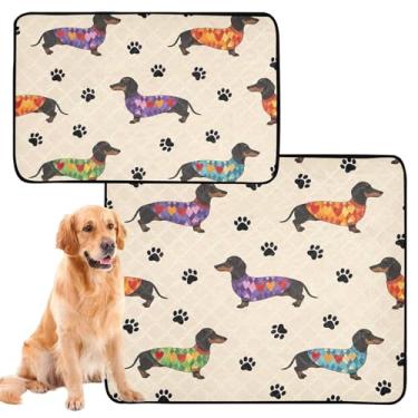 Imagem de Tapete colorido para cães dachshund bege reutilizável para animais de estimação, tapetes laváveis para xixi, à prova d'água, tapete de cercadinho para cachorros, médio + grande, conjunto de 2