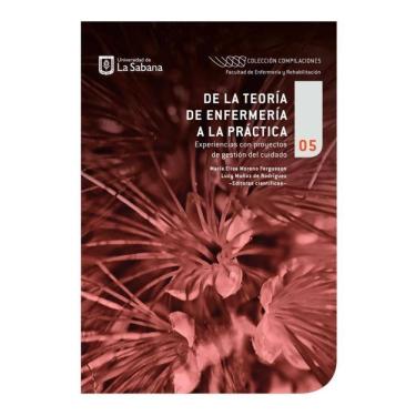 Imagem de De la teoría de enfermería a la práctica - Espanhol