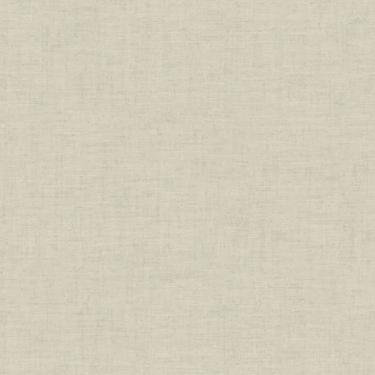 Imagem de Papel de Parede Tissé Textura Verde 25435