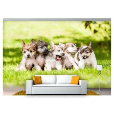 Imagem de Papel De Parede Animais Filhtes Grama 3D Anm171 - Você Decora