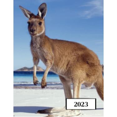 Imagem de 2023: Agenda semainier au format A4 - Année civile (Janvier à Décembre 2023) - Intervalles d'1h (7h-22h) - Contacts, jours fériés, mots de passe, ... - Une semaine sur deux pages