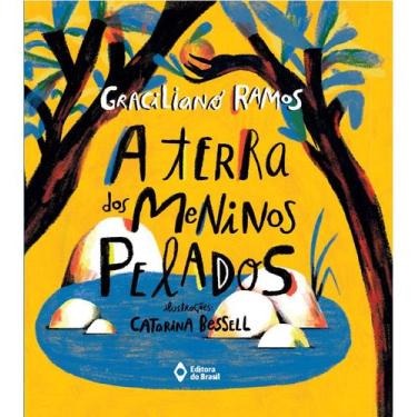 Imagem de Livro - A terra dos meninos pelados
