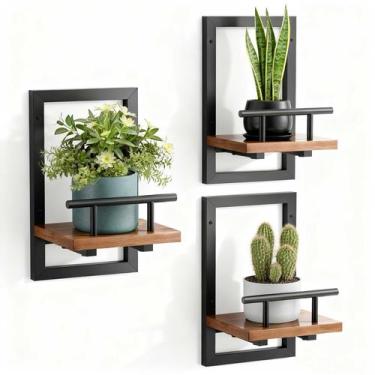 Imagem de Prateleiras flutuantes de parede Sbosbo, kit com 3 suportes para plant