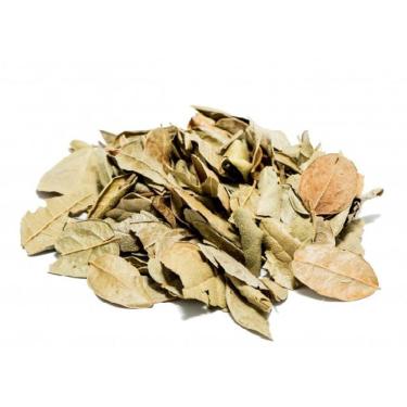 Imagem de Boldo Em Folhas 100G