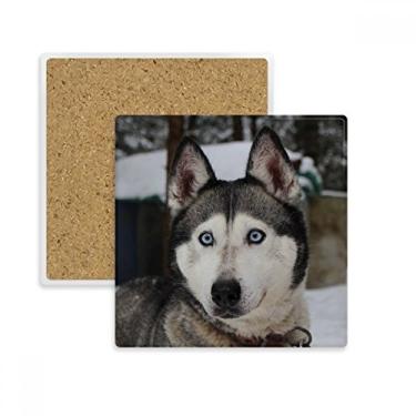 Imagem de Dog Animal Snow Husky Fotografia Quadrada Porta-copos Porta-copos Caneca Suporte Subplaca Pedra de Isolamento