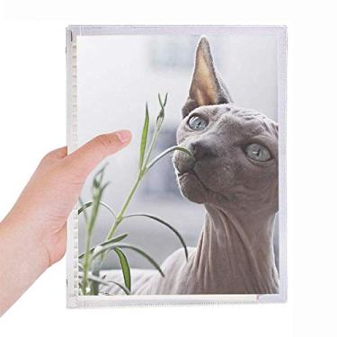 Imagem de Caderno com fotografia de gato fino cinza animal, folha solta, diário recarregável, papelaria