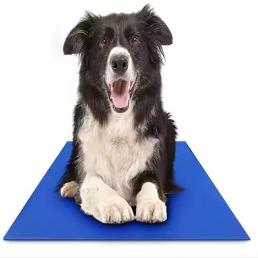 Imagem de Tapete Gelado para Cachorros Conforto e Refresco para Seu Pet - Peting Is Caring (50x90)