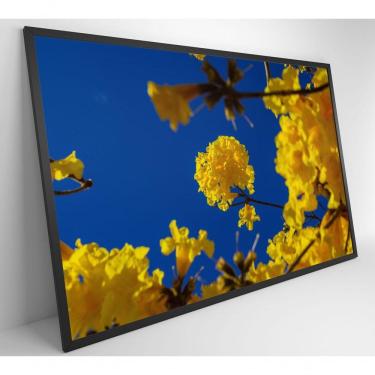 Imagem de Quadro árvore Ipê Amarelo No Céu Azul Medidas 80x120 Cm Impressão Vidro Acrílico