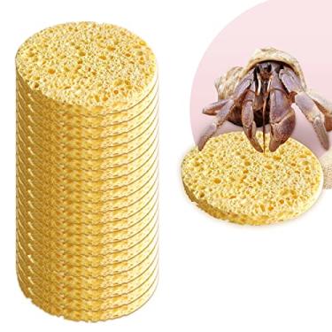 Imagem de WOOPSOO 20 peças de esponjas de caranguejo eremita, esponjas de caranguejo de animais de estimação reais em amarelo, fornecem nutrientes, esponjas de caranguejo eremita prato de água esponja do mar, p