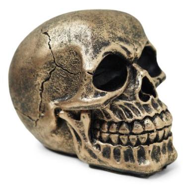 Imagem de Crânio Caveira Realista Pequeno Osso Preto Fosco Resina - M3 Decoração