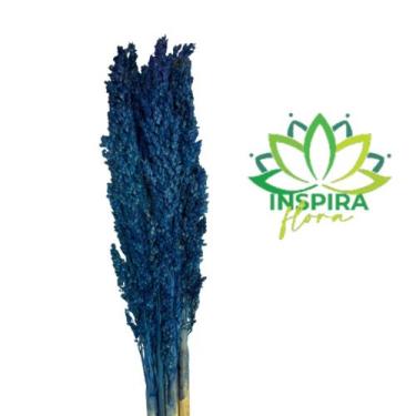 Imagem de Buquê Capim Flor Sorgo Secos Arranjo Desidratado - Inspira Flora, Azul