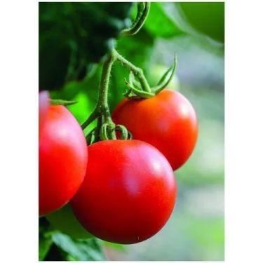 Imagem de Quadro Decorativo P/ Cozinha, Bares E Restaurantes 20x20cm - Artsim Pr