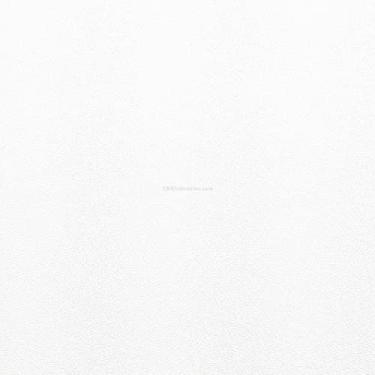 Imagem de KYDEX Folha Thermoform - (Textura P1) - (Espessura 080) - (30,5 cm x 30,5 cm) - (Branco Nevasco) - (1 Folha) - Fabricação de Coldre DIY, Armadura de Airsoft, Uniformes de Cosplay, Modelos RC