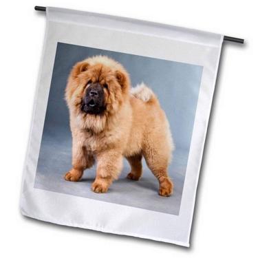 Imagem de 3dRose fl_22242_2" Bandeira de jardim Chow Chow, 45 x 68 cm