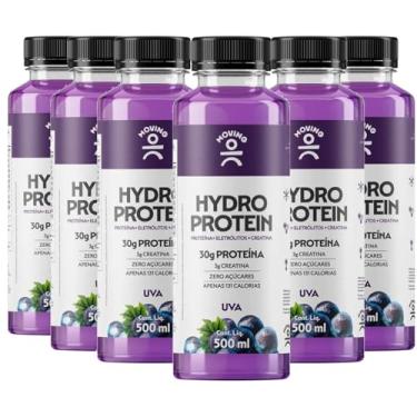 Imagem de Kit c/ 6und Bebida MOVING Hydro Protein Uva 500ml