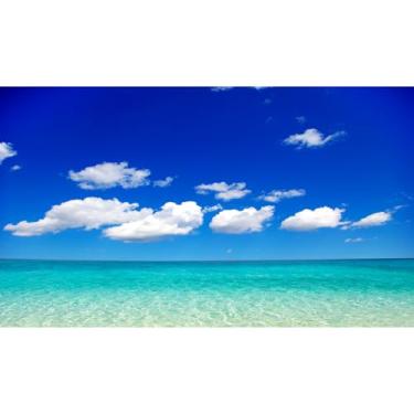 Imagem de Fundo de aquário de peixes do mar oceano tropical paraíso oceano fundo de aquário paisagem marítima ensolarada céu azul ensolarado litoral nublado praia de areia ondas do mar fundos de tanque réptil