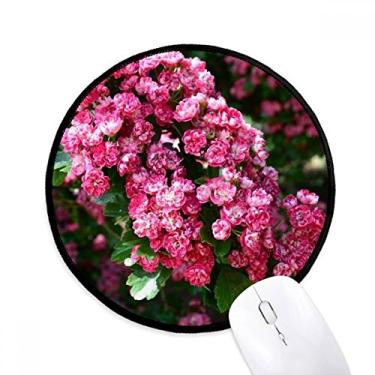 Imagem de Mouse pad de flores rosas lindas folhas verdes tapete redondo para escritório para computador