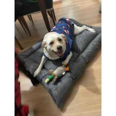 Imagem de Cama De Cachorro Grande Gg - 110cm X 80cm - Vest Pet