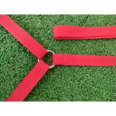 Imagem de Guia Dupla Para Cães - Spike Dog, 25 mm para porte grande., Vermelho