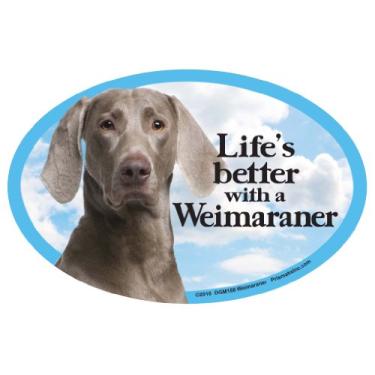 Imagem de Prismatix Decalque Ímãs para cães de estimação, Weimaraner - Life's Better with a Weimaraner - Adesivo de ímã de carro ou geladeira forte durável com cores brilhantes, ótimo presente para mãe ou pai