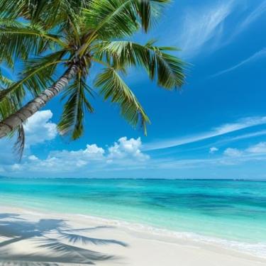 Imagem de Kit Motor Kmp/Ww3 (Com Cilindro. Pistao. Anel. Junta Kit-A. Biela) Bros 150 Ohc 2003/2005