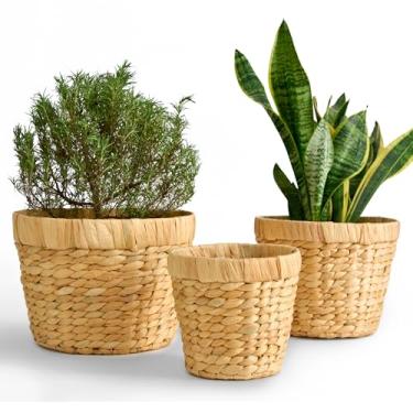 Imagem de Chi An Home Conjunto de 3 potes de jacinto de água