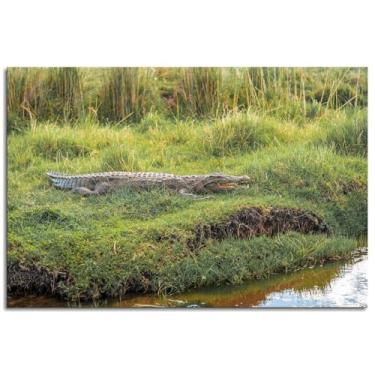 Imagem de Pôster de crocodilos répteis impressões em tela arte de parede perigosa para casa 1 painéis decorações não ramed 30,5 x 20,3 cm