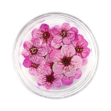 Imagem de Flores Secas Prensadas De Narciso E Flor De Ameixa 20pçs Para Resina E