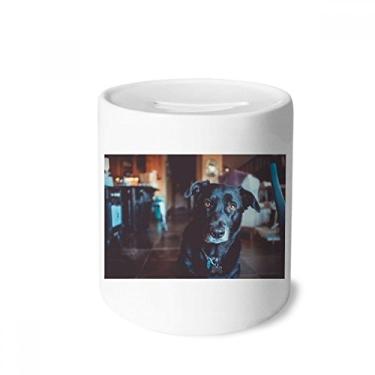 Imagem de DIYthinker Caixa de moedas de cerâmica com imagem de animal de estimação preta para presente de cofrinho