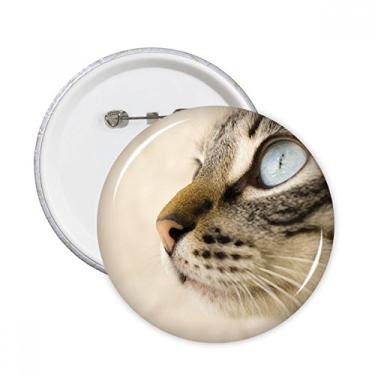 Imagem de Animal Olho Azul Gatinho Cinza Foto Pinos Redondo Emblema Decoração Roupas 5 peças Presente