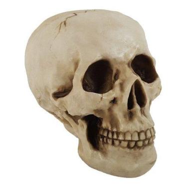 Imagem de Cranio Caveira Grande Tamanho Real Em Resina Decorativo - NoBrand