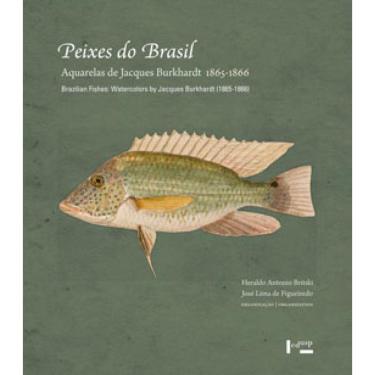 Imagem de Peixes Do Brasil - Aquarelas De Jacques Burhardt 1865-1866
