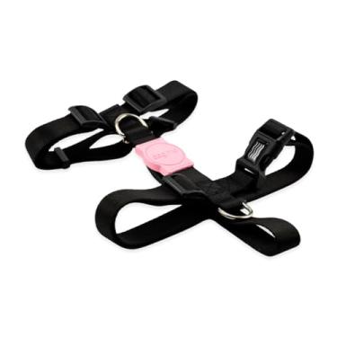 Imagem de Dog Trip Brasil Coleira Peitoral Para Cachorro Cães Modelo H Tradicional Tamanho Porte Grande Médio Pequeno (G, Blum)