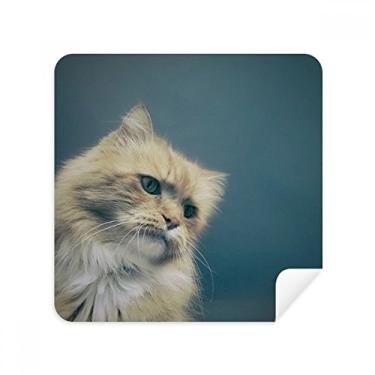 Imagem de Animal Blue Cat Photograph Shoot Glasses Pano Limpador de Tela Tecido Camurça Pacote com 2